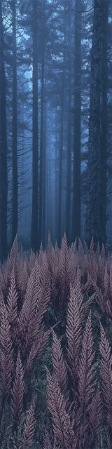 Free aesthetic bookmark featuring close up wheat in a forest